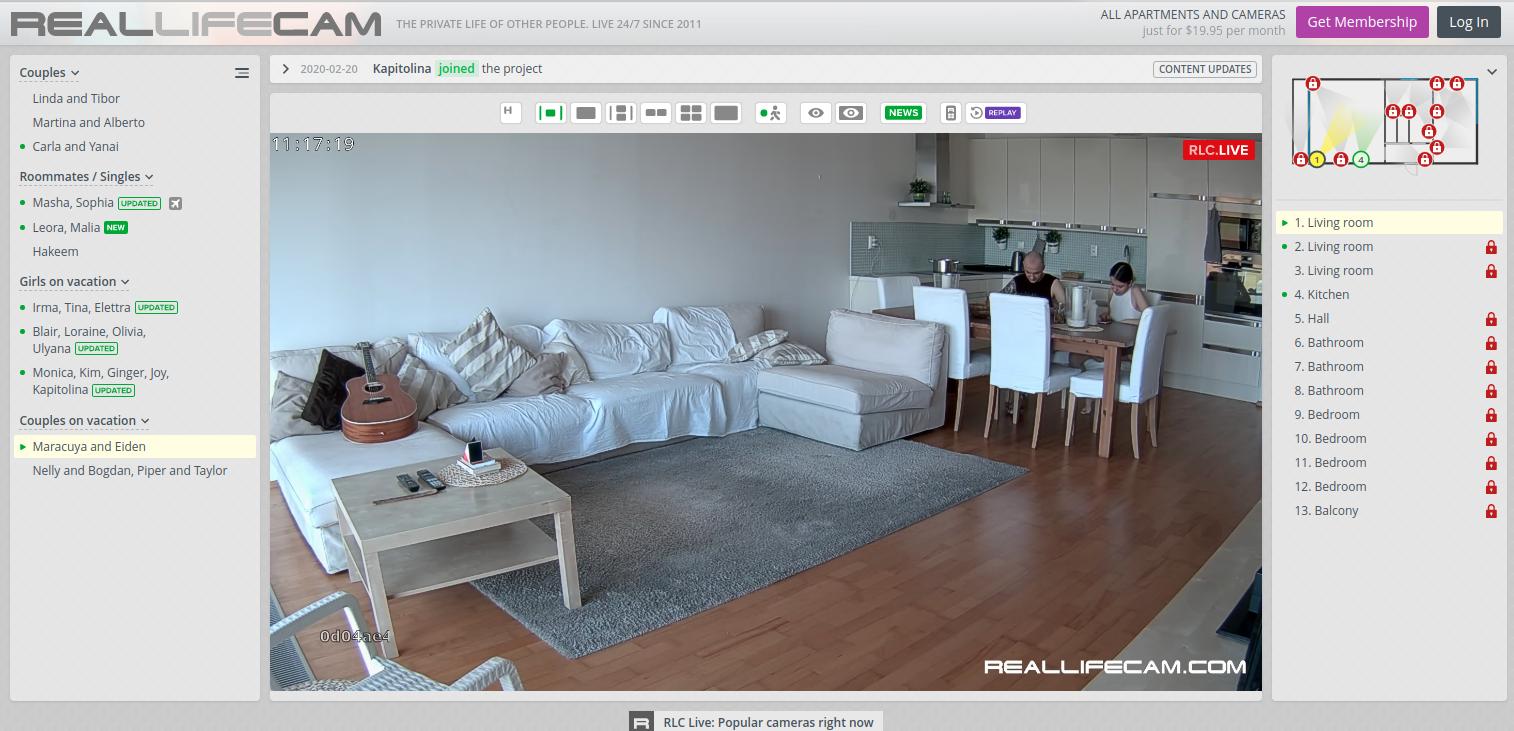 RealLifeCam Home Page Screenshot