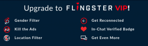 Flingster Features