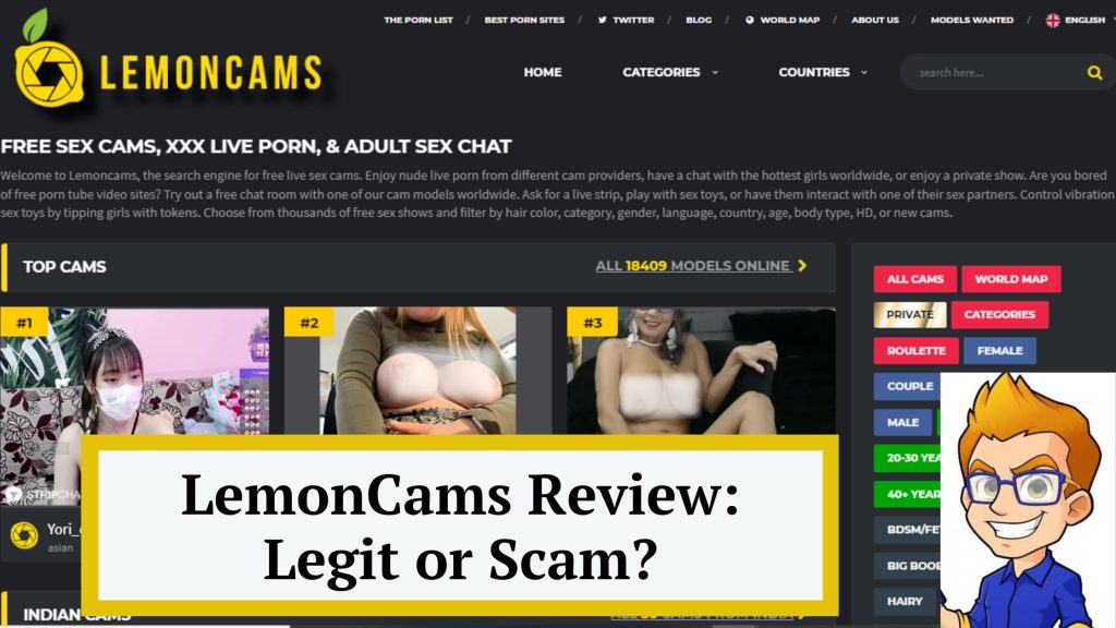 lemoncams review